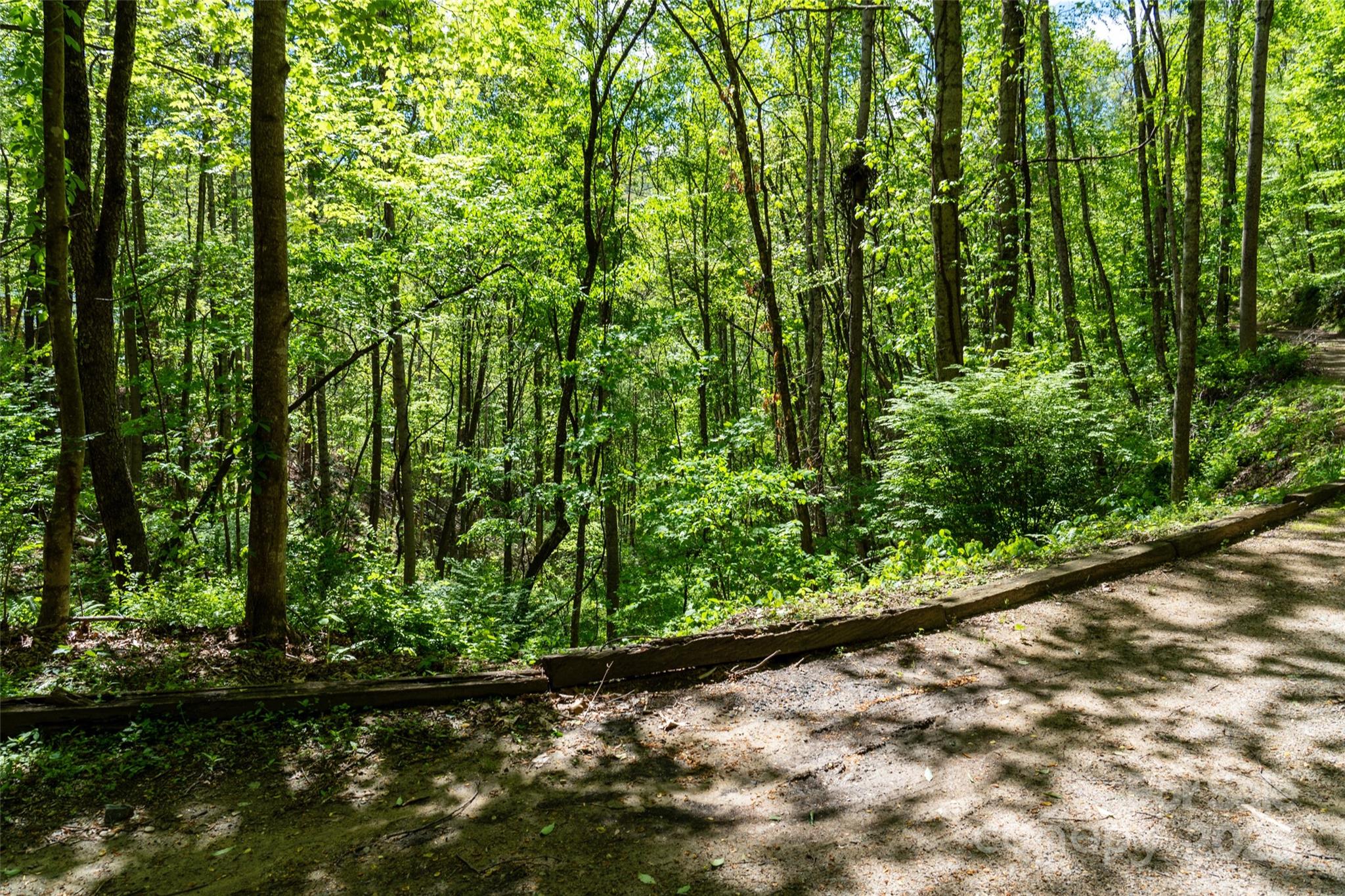 72 Lonesome Pnes Road Clyde, NC 28721 - Photo 9 of 25 a view of a yard with plants and tree