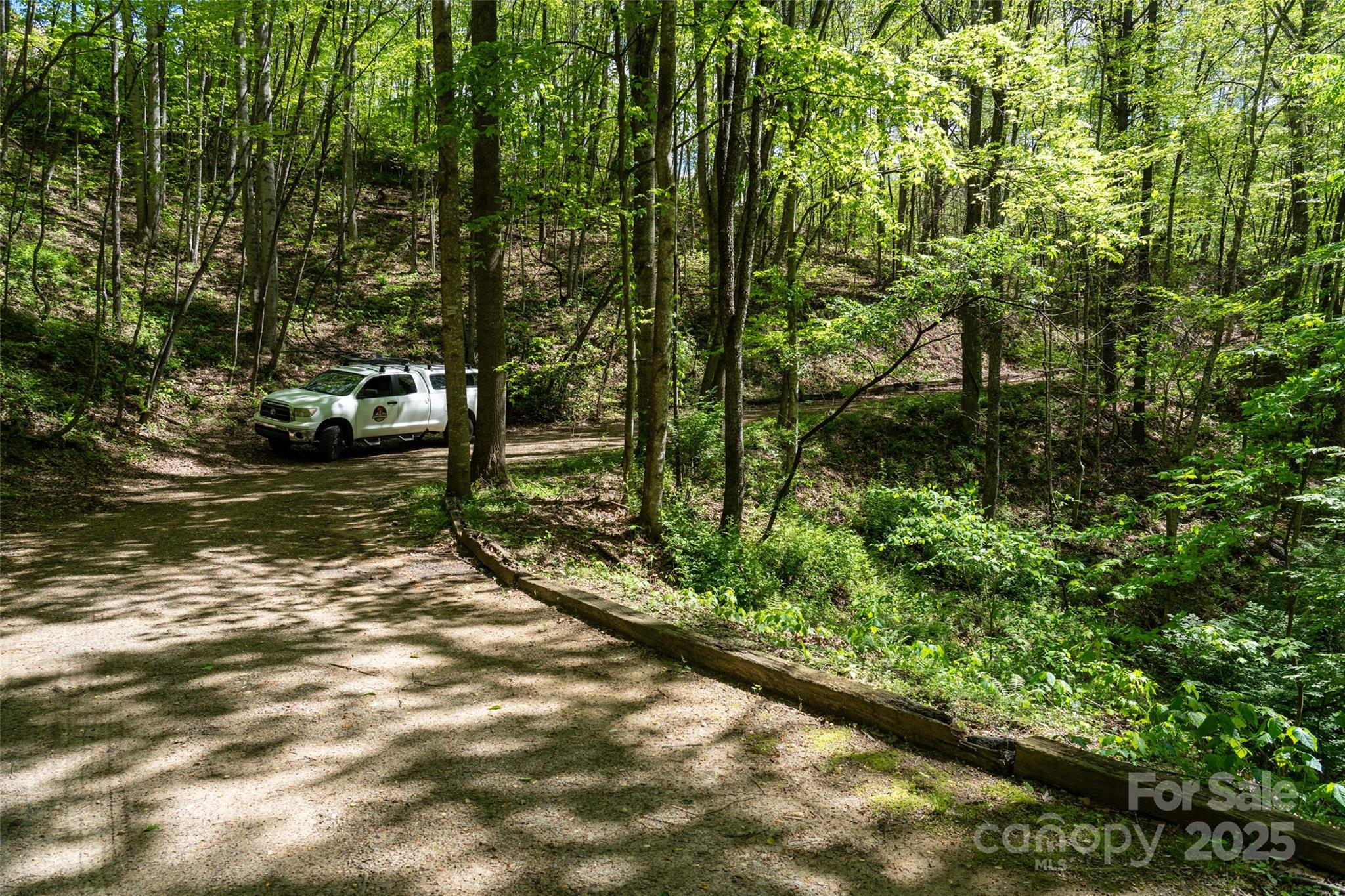 72 Lonesome Pnes Road Clyde, NC 28721 - Photo 10 of 25 a view of a lake with large trees