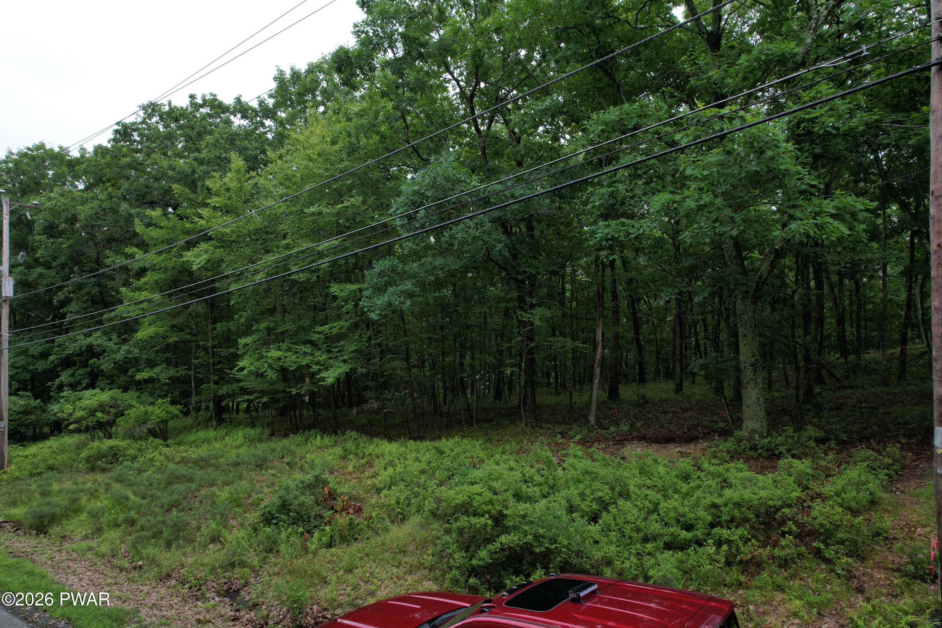 Tom Quick Road Dingmans Ferry, PA 18328 - Photo 7 of 14