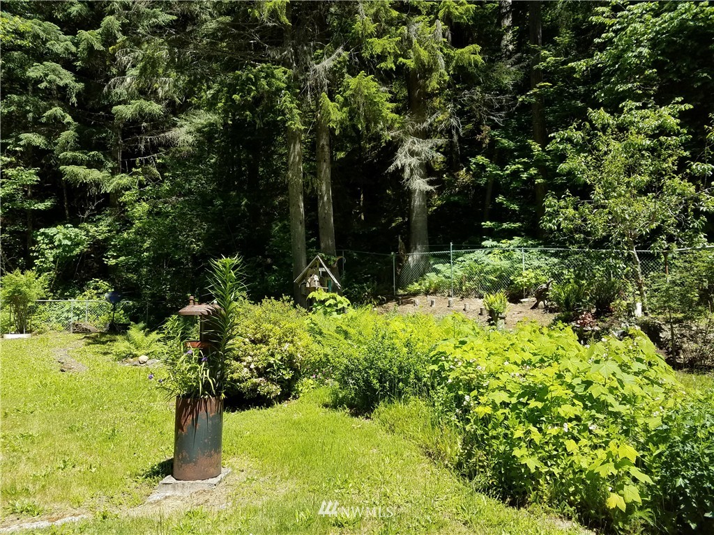 292 Craig Road Packwood, WA 98361 - Photo 13 of 21 Gallery Image 13
