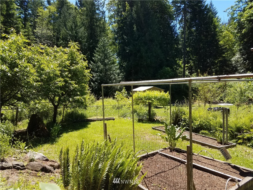 292 Craig Road Packwood, WA 98361 - Photo 16 of 21 Gallery Image 16