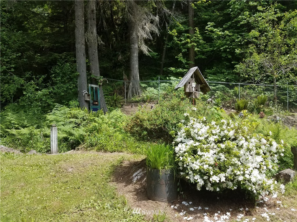292 Craig Road Packwood, WA 98361 - Photo 4 of 21 Gallery Image 4