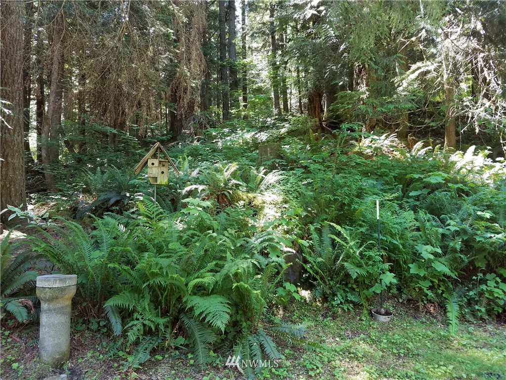 292 Craig Road Packwood, WA 98361 - Photo 6 of 21 Gallery Image 6