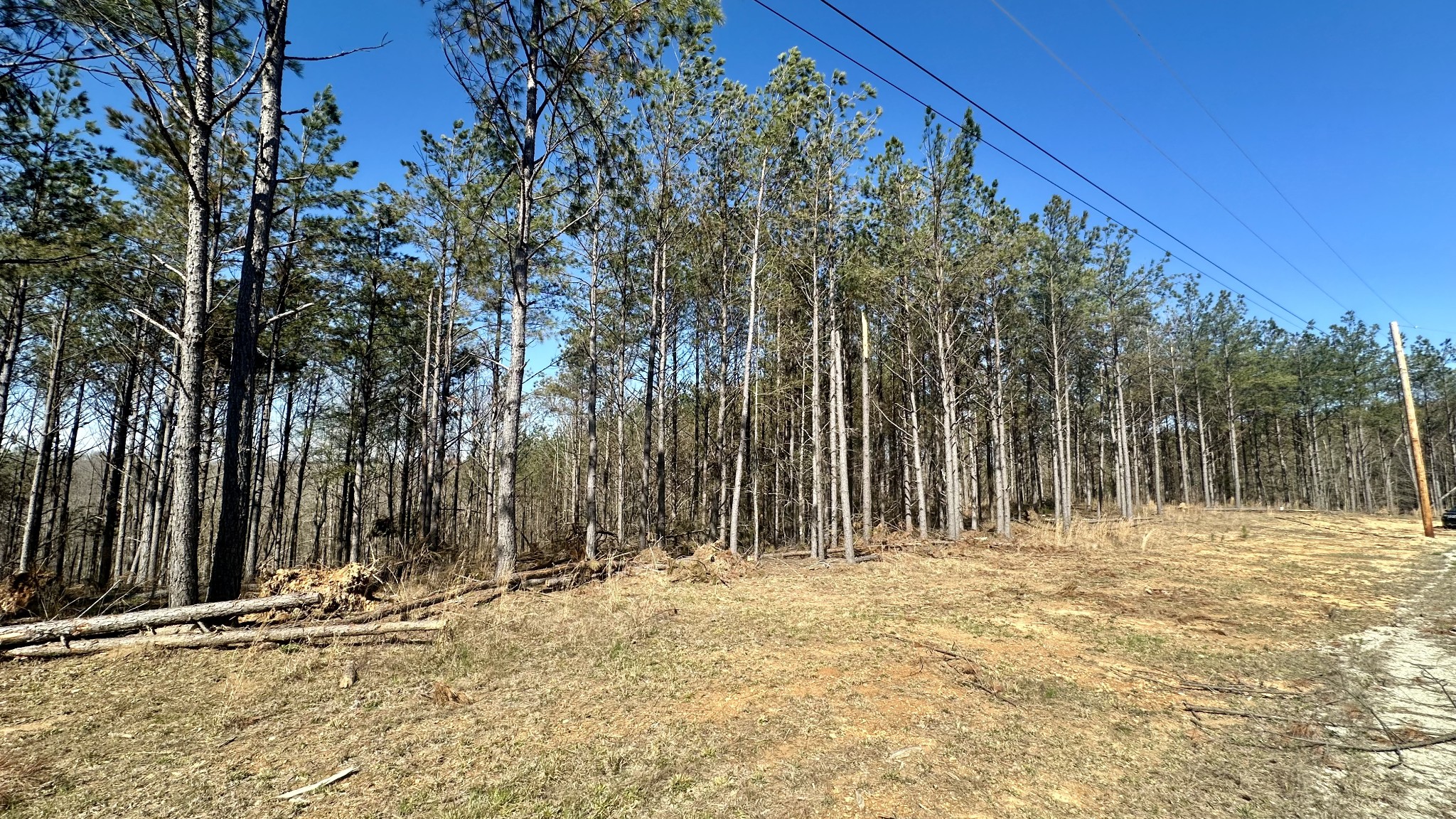 173 Seiber Ridge Road Hohenwald, TN 38462 - Photo 13 of 15