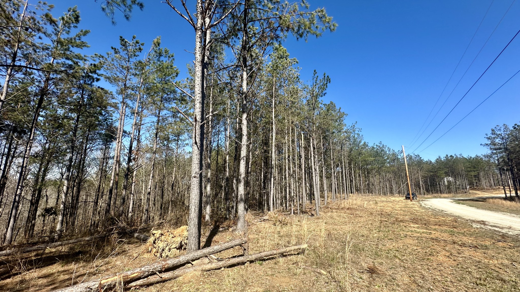 173 Seiber Ridge Road Hohenwald, TN 38462 - Photo 14 of 15