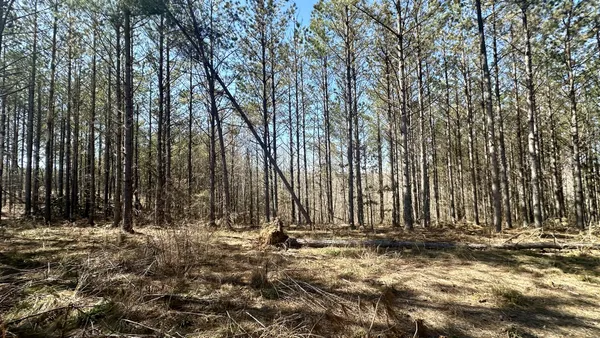 $110,000 | 173 Seiber Ridge Road, Hohenwald, TN 38462