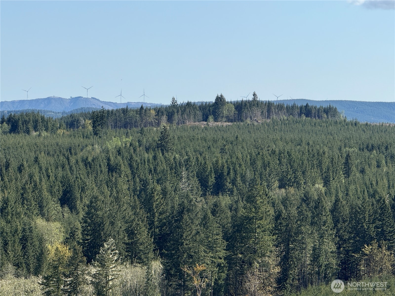 6-xx Oppelt Road Chehalis, WA 98532 - Photo 11 of 16