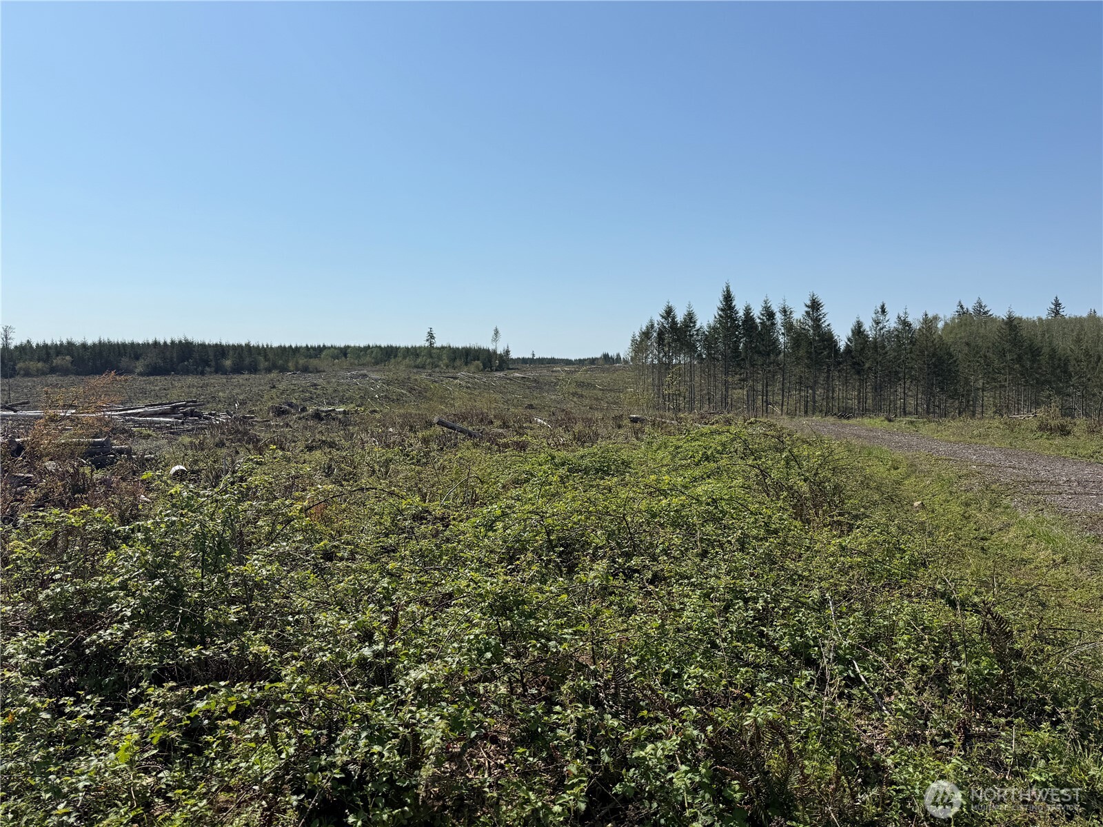 6-xx Oppelt Road Chehalis, WA 98532 - Photo 12 of 16