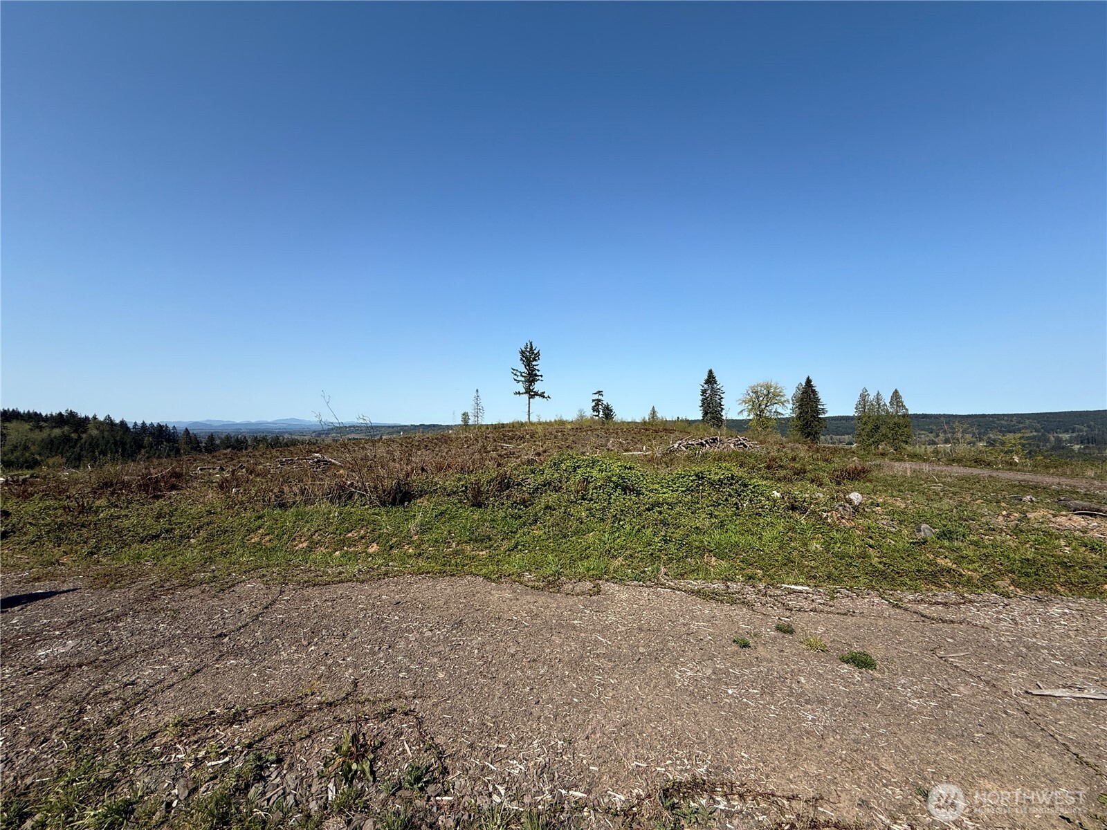 6-xx Oppelt Road Chehalis, WA 98532 - Photo 14 of 16