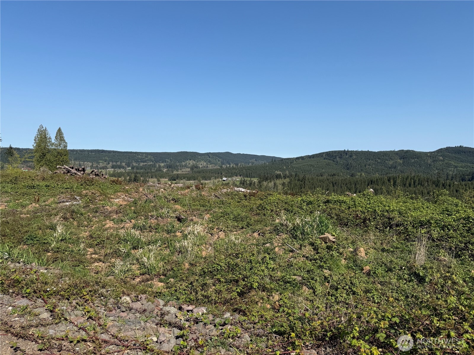 6-xx Oppelt Road Chehalis, WA 98532 - Photo 2 of 16