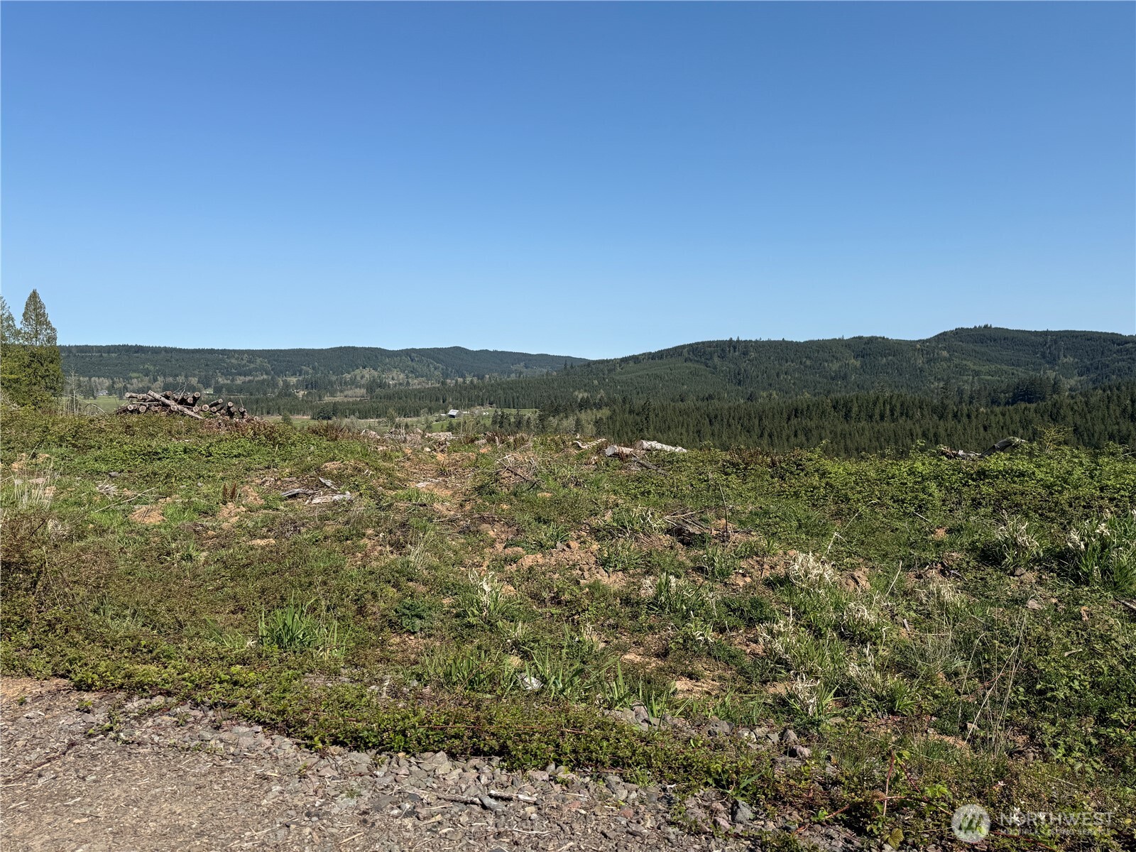 6-xx Oppelt Road Chehalis, WA 98532 - Photo 3 of 16