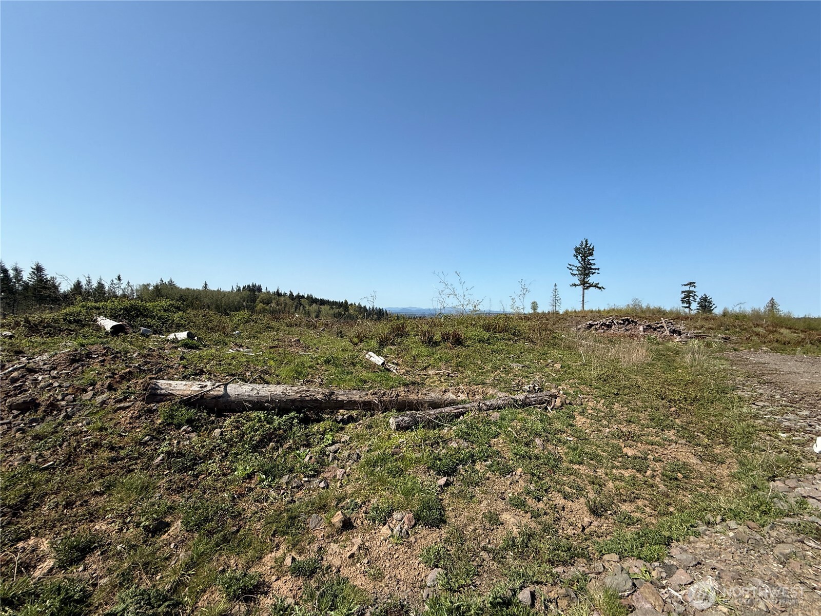 6-xx Oppelt Road Chehalis, WA 98532 - Photo 4 of 16