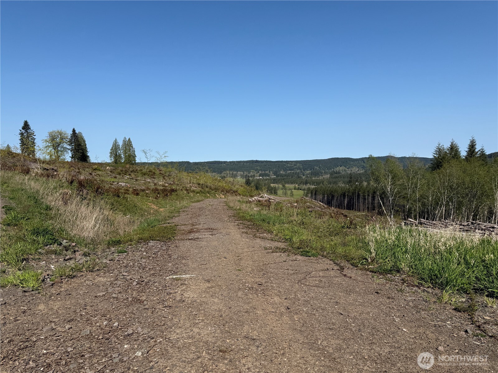 6-xx Oppelt Road Chehalis, WA 98532 - Photo 5 of 16