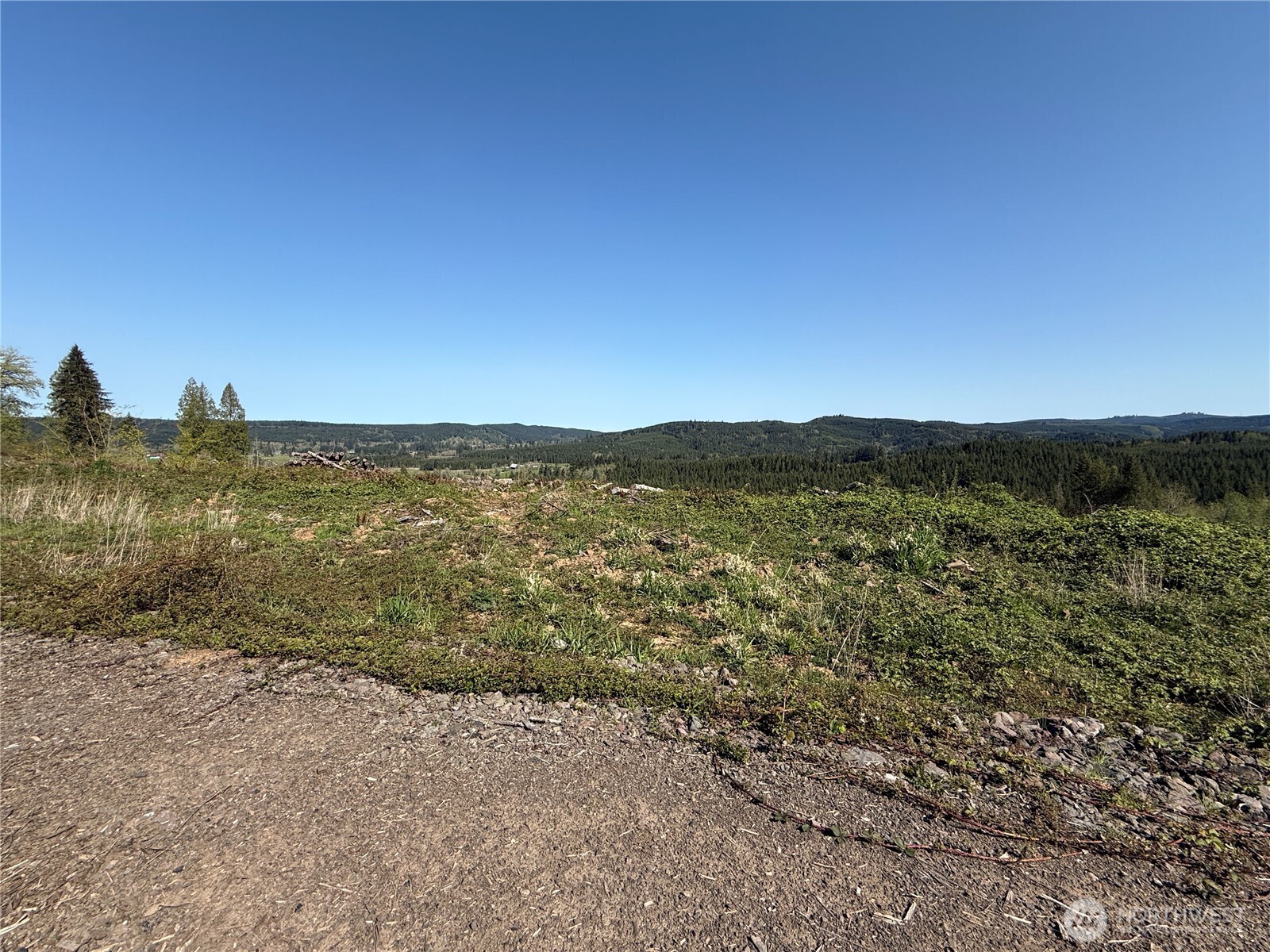 6-xx Oppelt Road Chehalis, WA 98532 - Photo 6 of 16