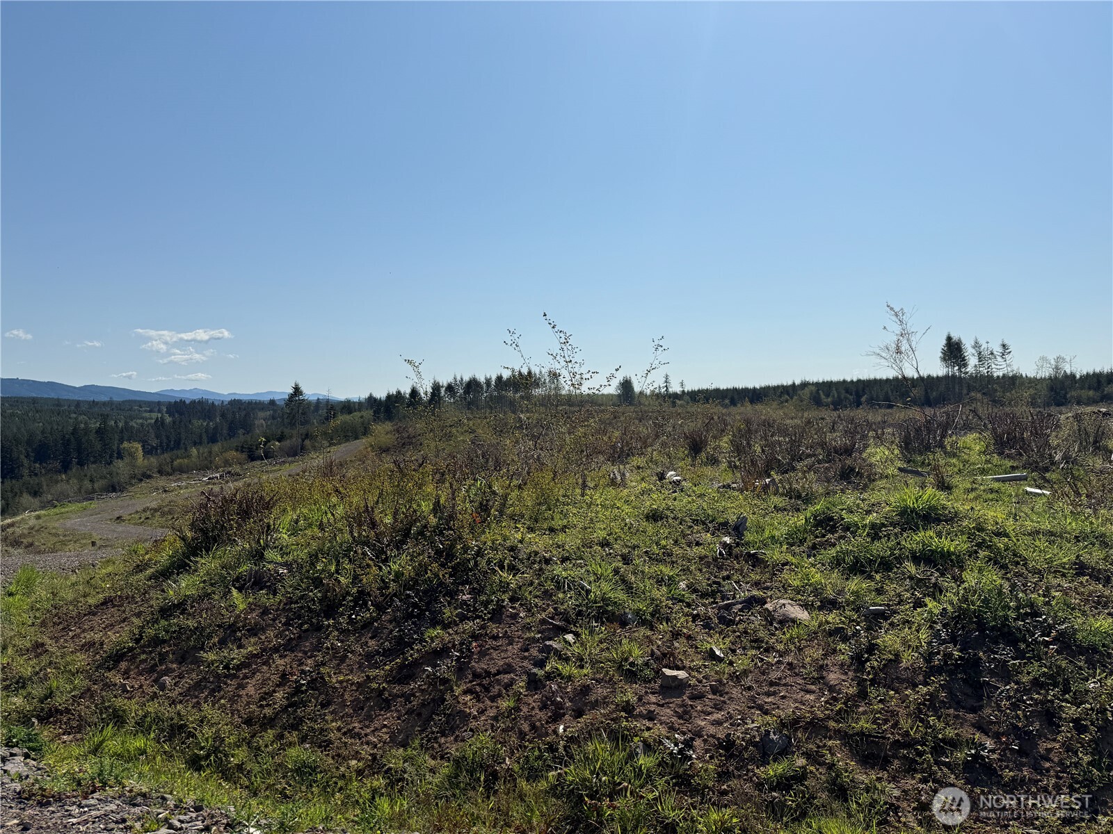 6-xx Oppelt Road Chehalis, WA 98532 - Photo 10 of 16