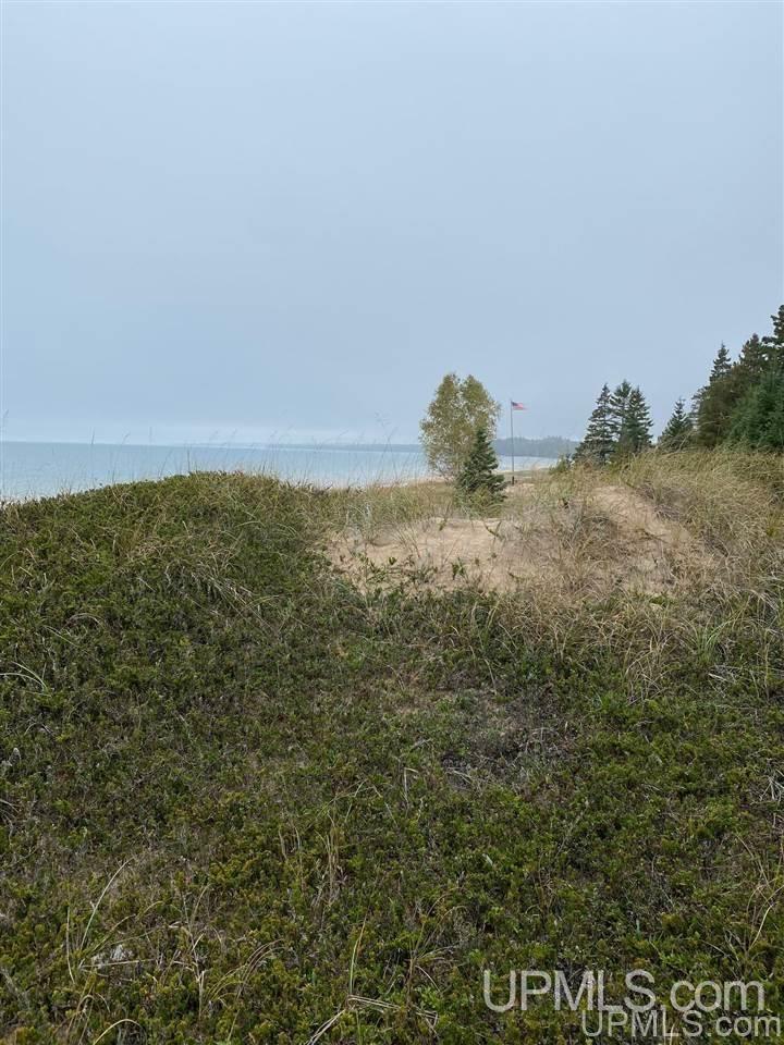 Tbd South Wiggins Point Trail Manistique, MI 49854 - Photo 6 of 18