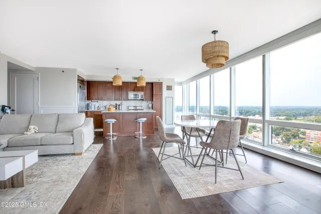 a living room with furniture a rug potted plant and a large window