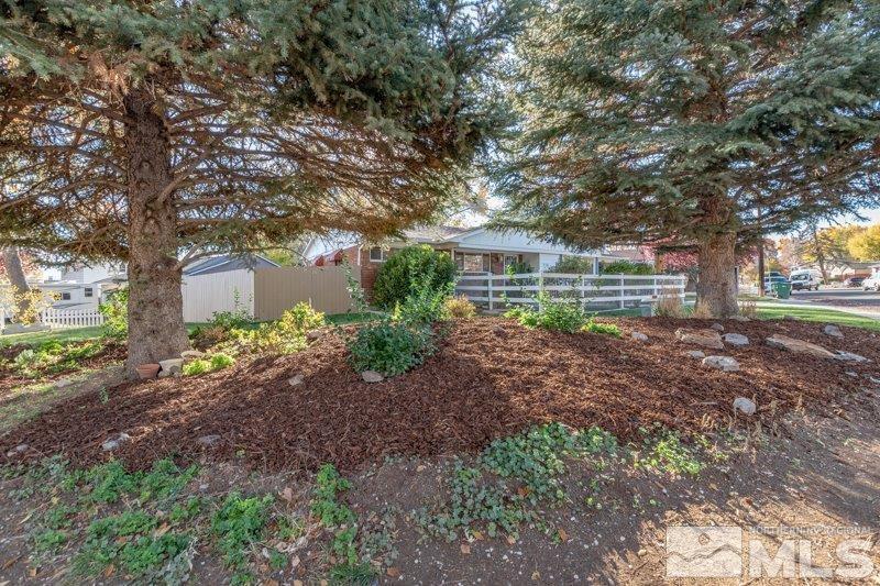 710 West 12th Street Reno, NV 89503 - Photo 5 of 25 a view of outdoor space with deck and tree