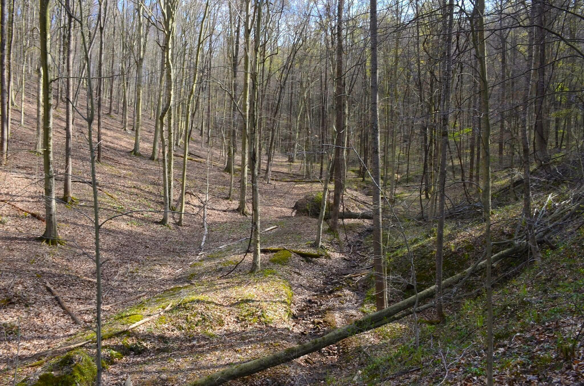 19479 Bogg Road Laurelville, OH 43135 - Photo 10 of 54 19479 Bogg Rd, Hocking Hills