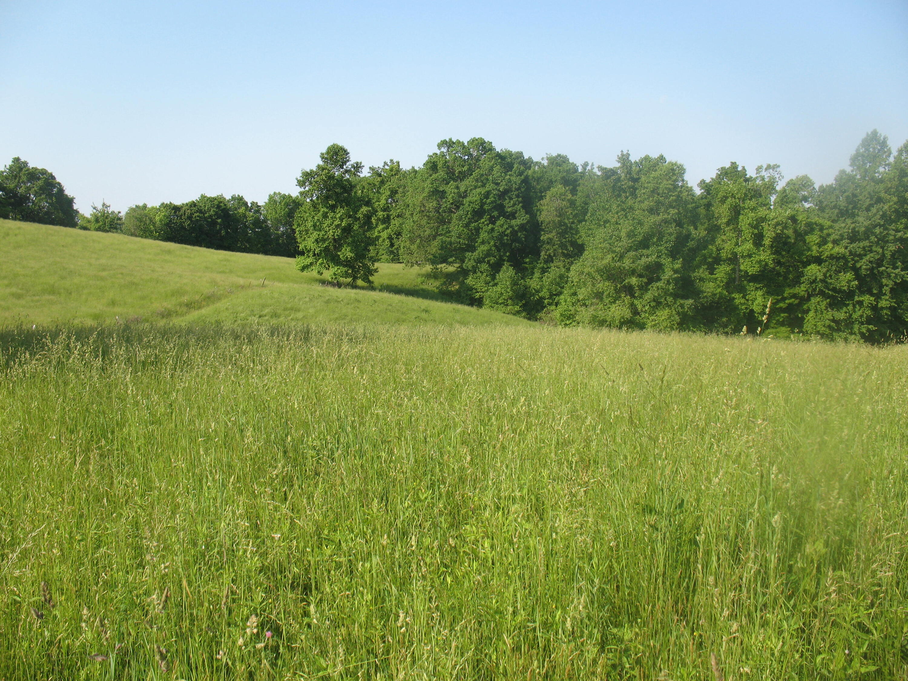 9999 Rudder Lane London, KY 40741 - Photo 19 of 33 IMG_4319