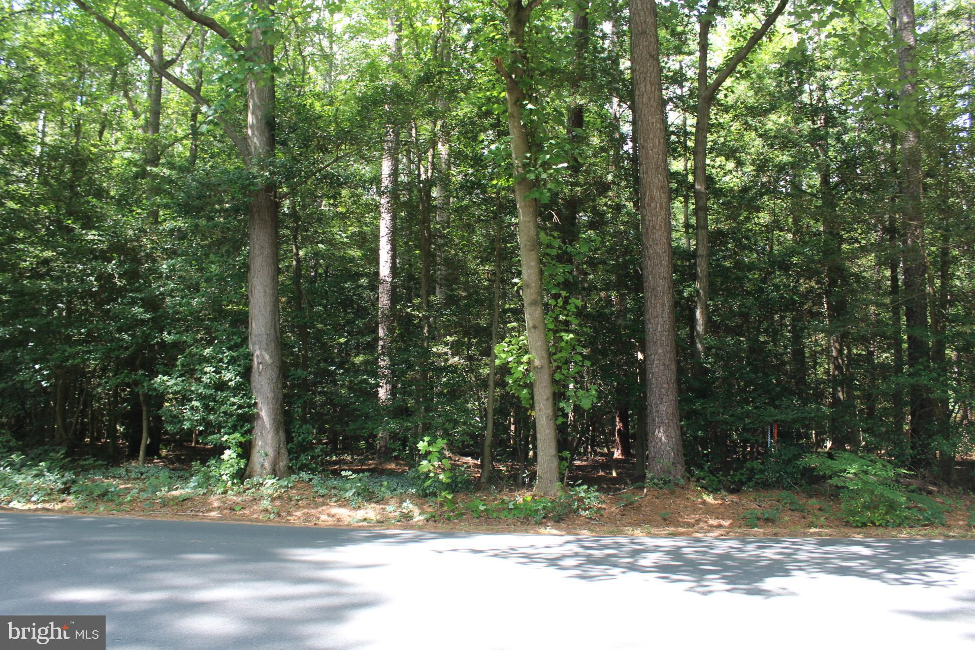Lot 2-parcel Jackson Road Salisbury, MD 21804 - Photo 3 of 12 a view of a yard with plants and trees