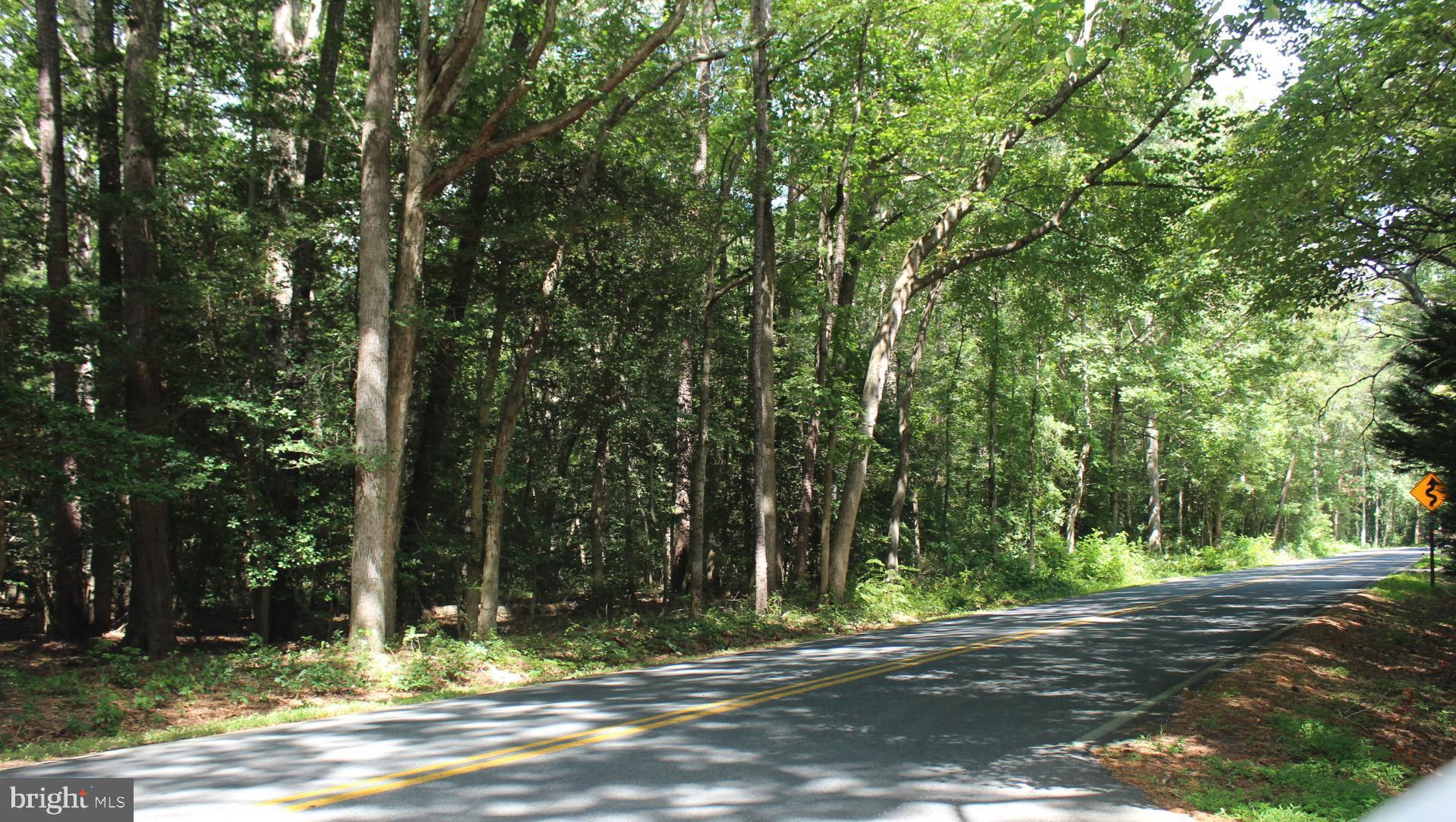 Lot 2-parcel Jackson Road Salisbury, MD 21804 - Photo 5 of 12 a view of street along with trees