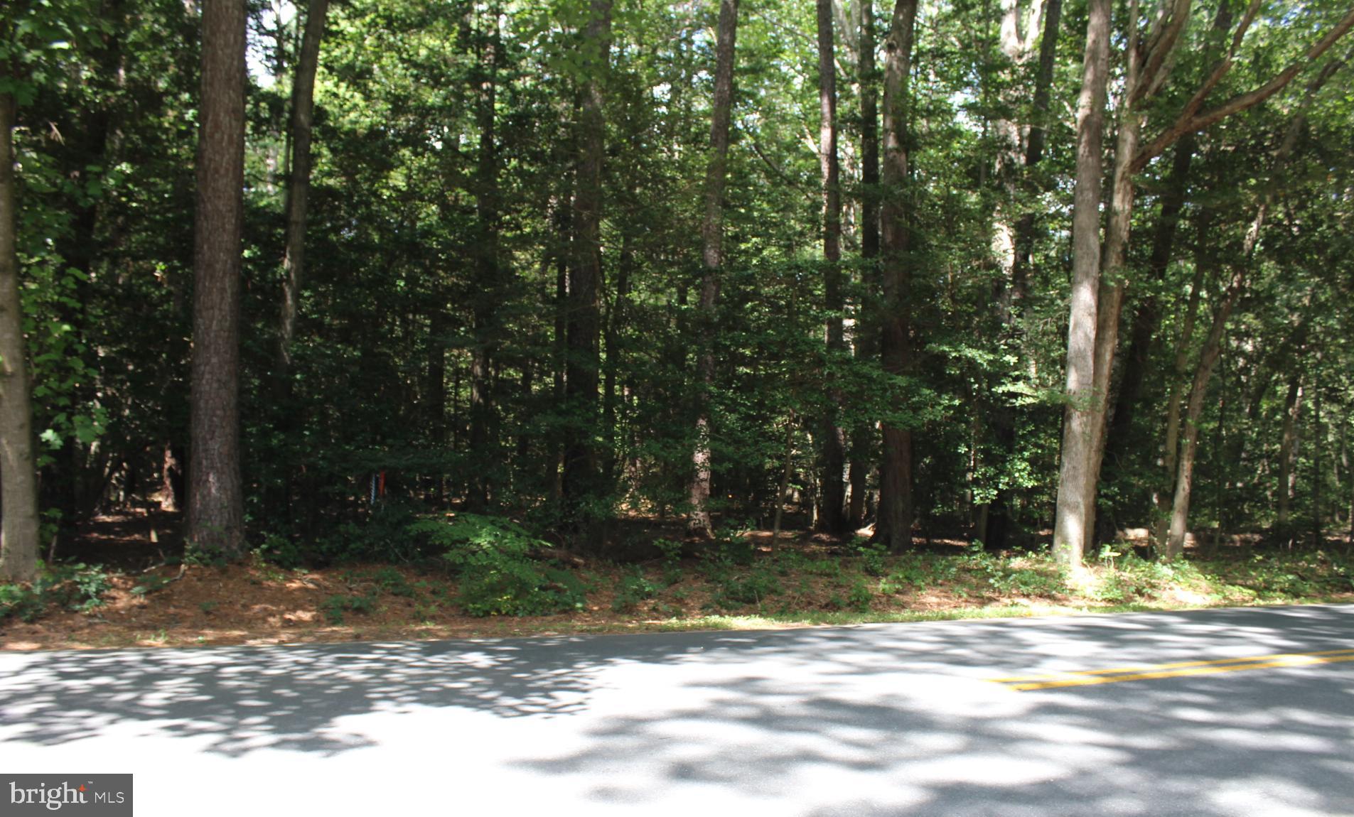 Lot 2-parcel Jackson Road Salisbury, MD 21804 - Photo 6 of 12 a view of a yard with a tree