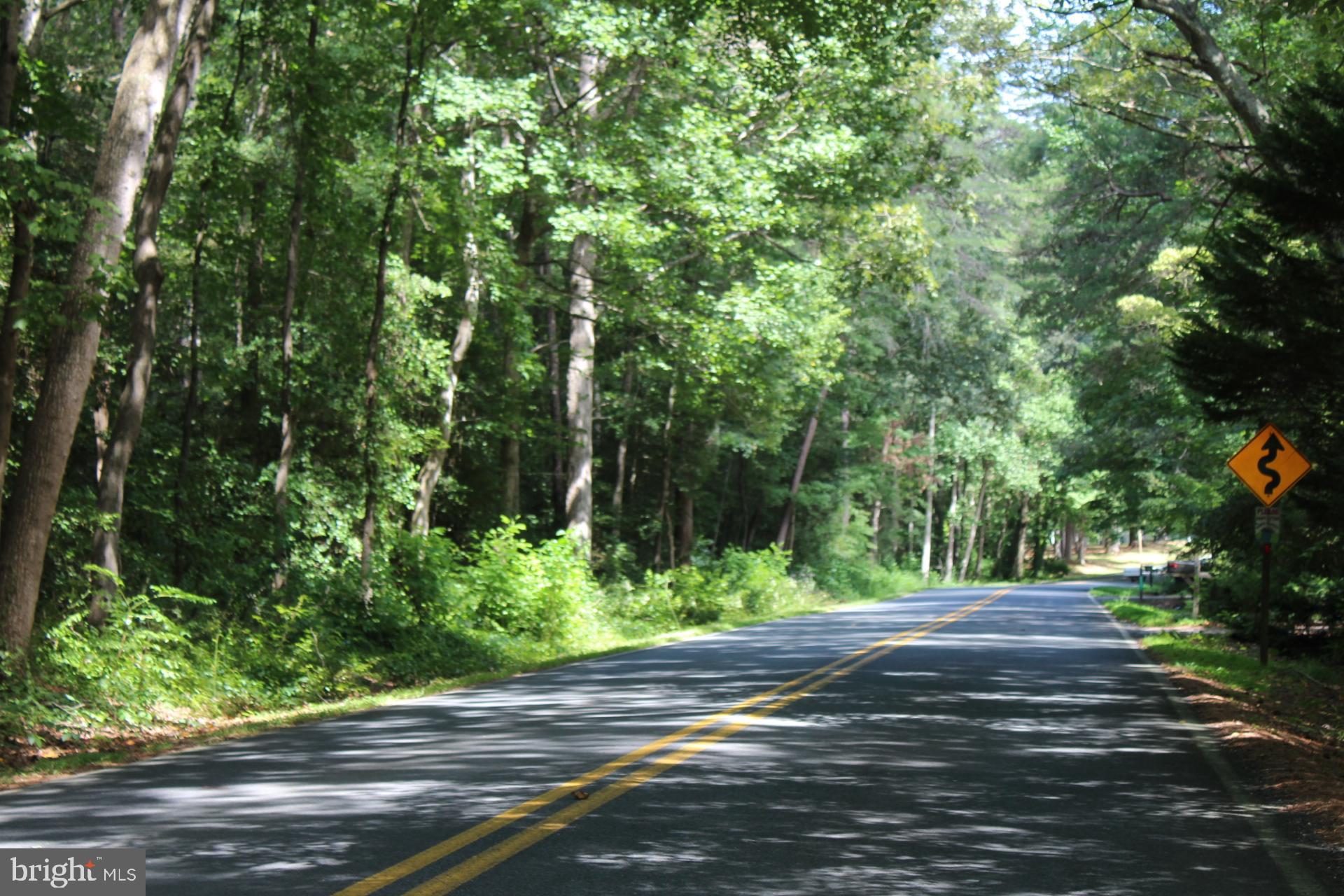 Lot 2-parcel Jackson Road Salisbury, MD 21804 - Photo 8 of 12 a view of path along with trees