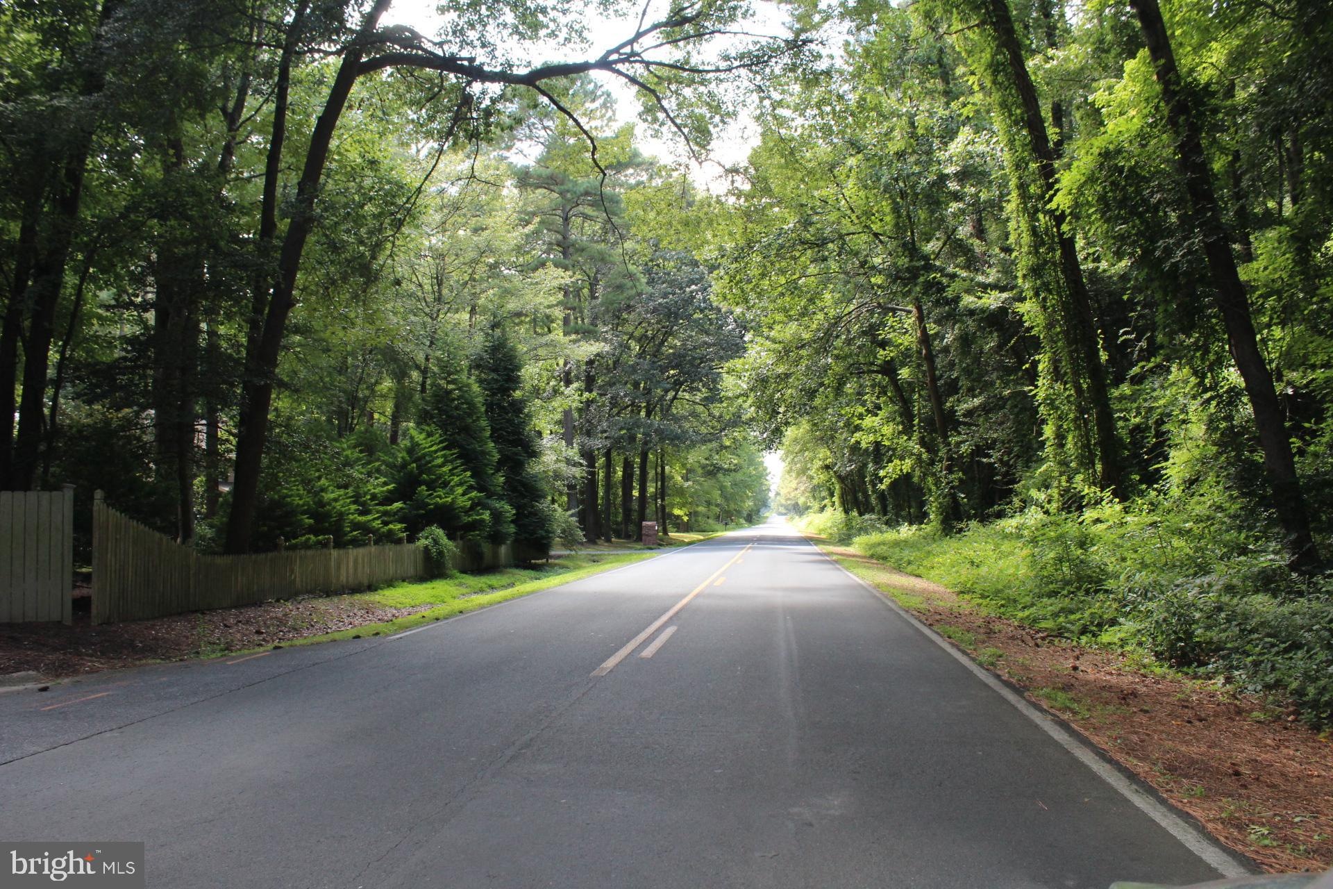 Lot 2-parcel Jackson Road Salisbury, MD 21804 - Photo 9 of 12 a view of a road with a trees