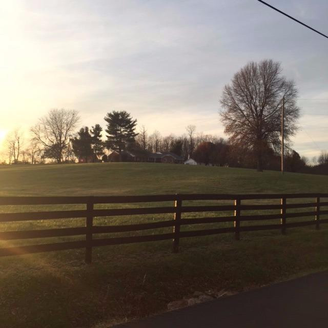 2901 Muir Station Road Lexington, KY 40516 - Photo 24 of 29 Photo 27