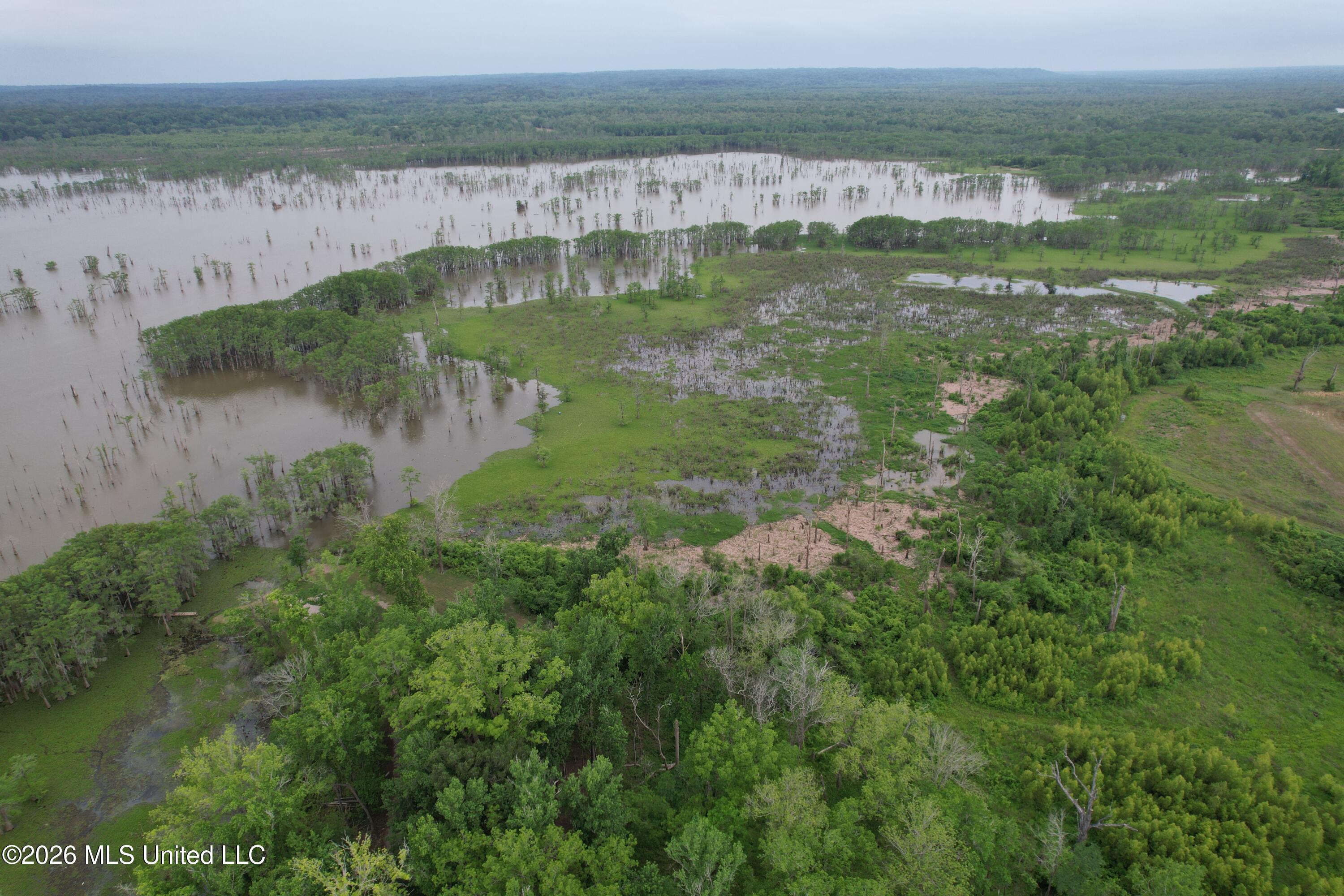 Lake Mary Road Woodville, MS 39669 - Photo 16 of 39 DJI_0976