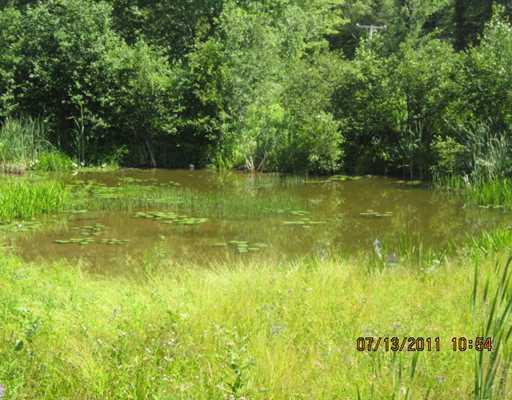 417 Clark Road Prospect, ME 04981 - Photo 10 of 14 Yard/Garden. farm pond