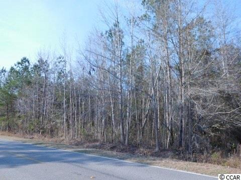 Tbd Tbd Columbus Road Georgetown, SC 29440 - Photo 1 of 4 Gallery Image 1