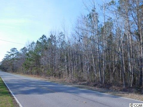 Tbd Tbd Columbus Road Georgetown, SC 29440 - Photo 2 of 4 Gallery Image 2