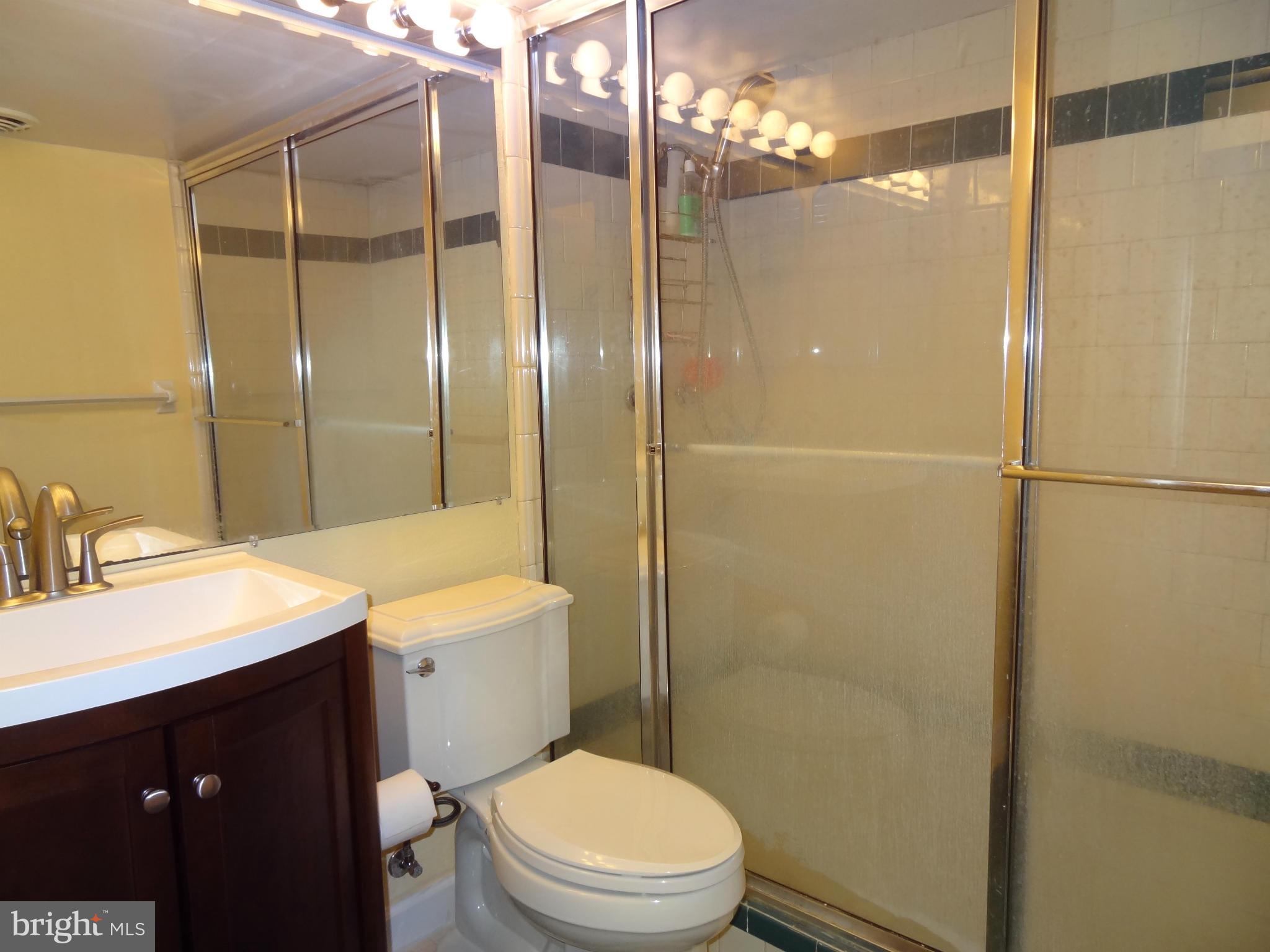 402 Moorefield Road Southwest Vienna, VA 22180 - Photo 22 of 25 Bath, Lower Level