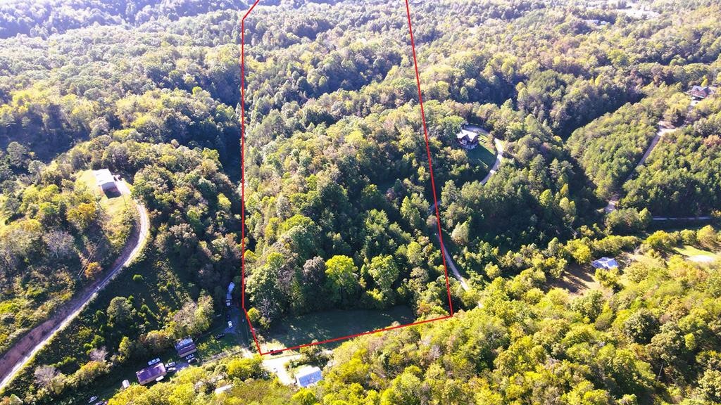 0 Reagan Branch Road Seymour, TN 37865 - Photo 11 of 31