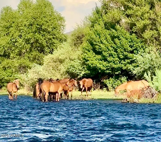 $3,700 | 22433 East Cattle Drive, Queen Creek, AZ 85142