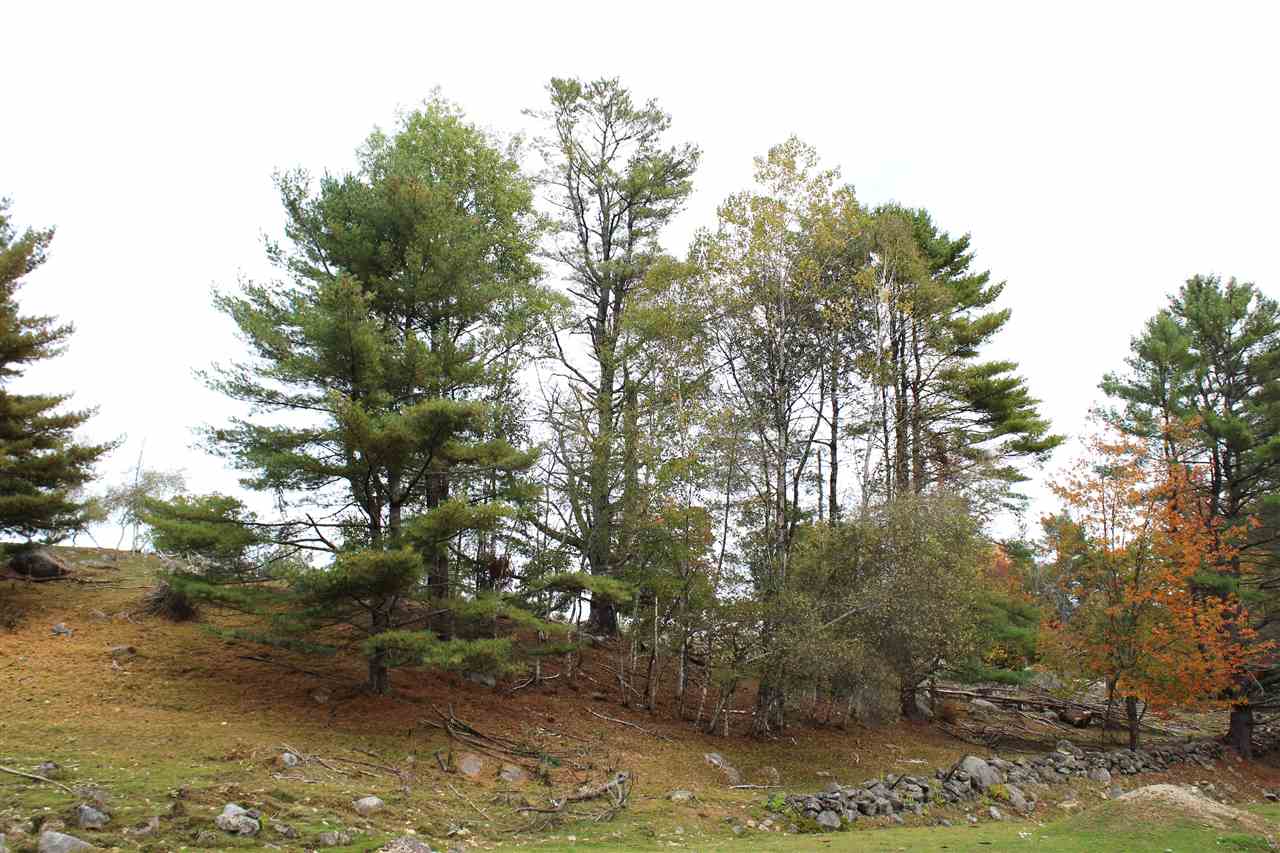 0 Old Turnpike Road Danbury, NH 03230 - Photo 18 of 19 Gallery Image 18