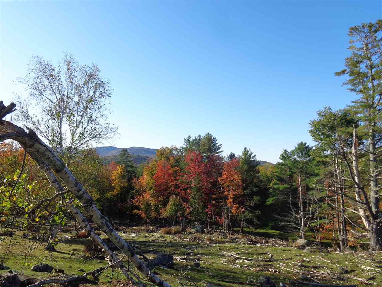 0 Old Turnpike Road Danbury, NH 03230 - Photo 8 of 19 Gallery Image 8
