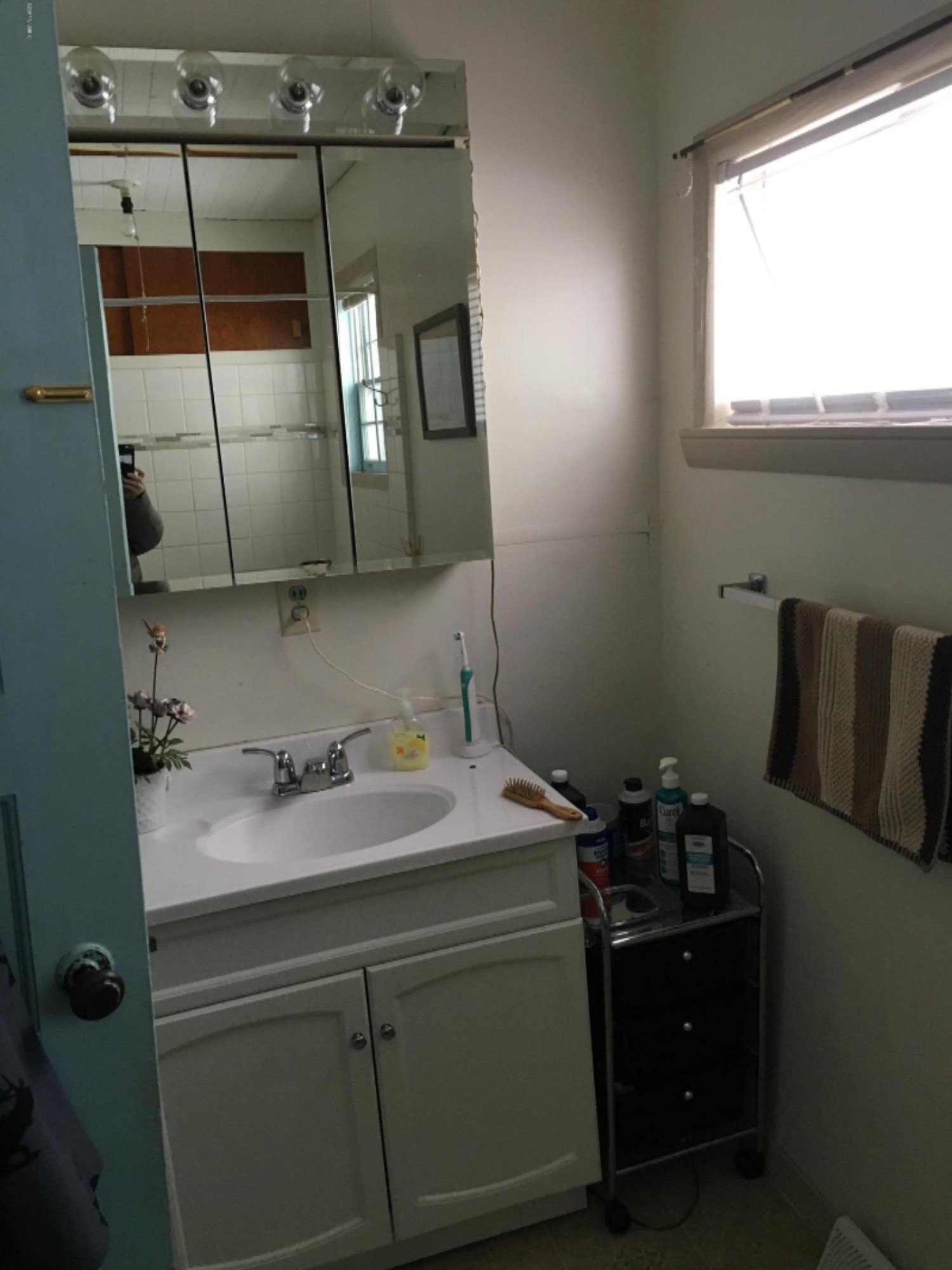 9199 Holso Road Kaleva, MI 49645 - Photo 16 of 22 Bathroom