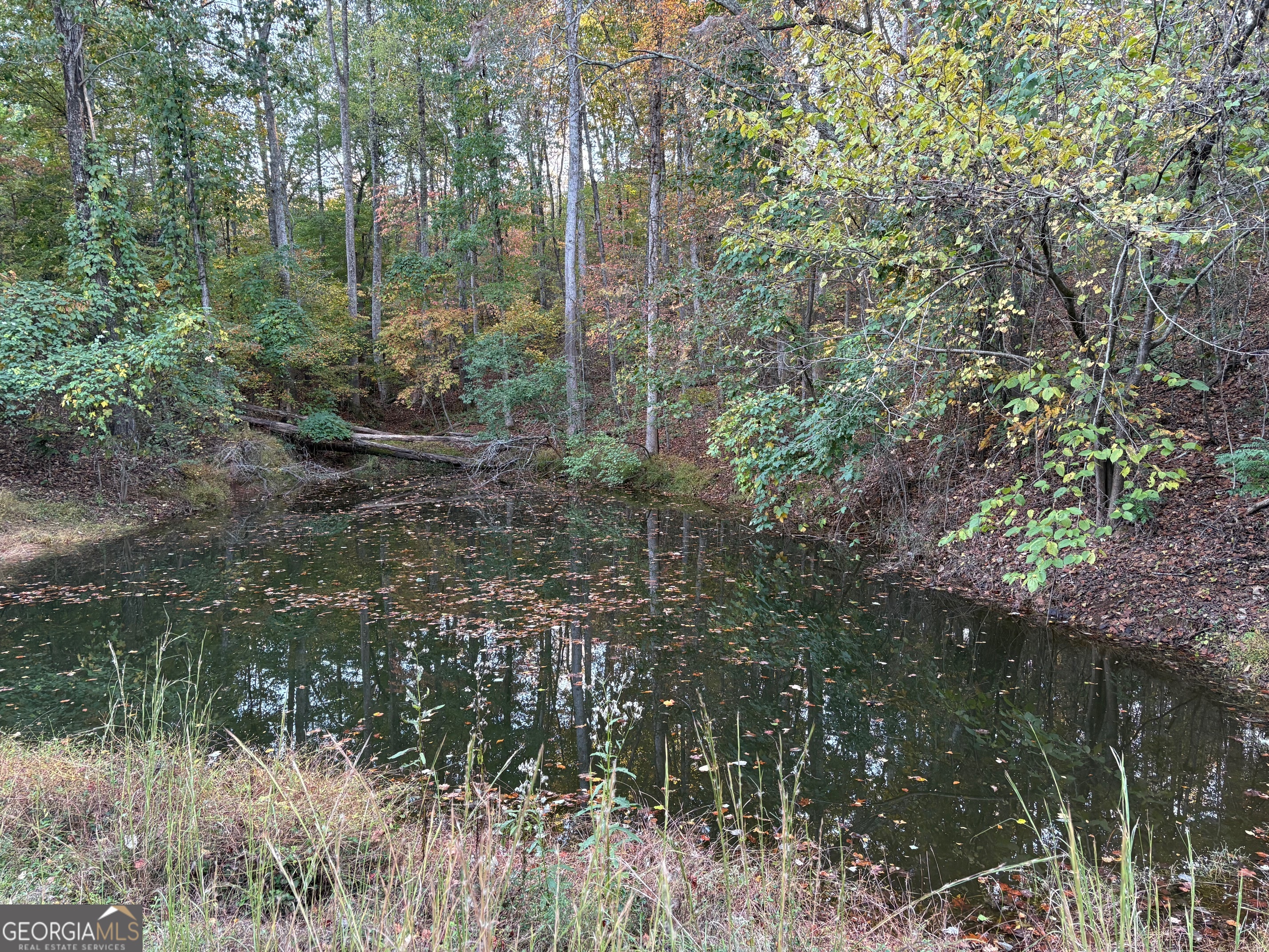 4920 Cagle Mill Road Lula, GA 30554 - Photo 1 of 1 Pond on Property