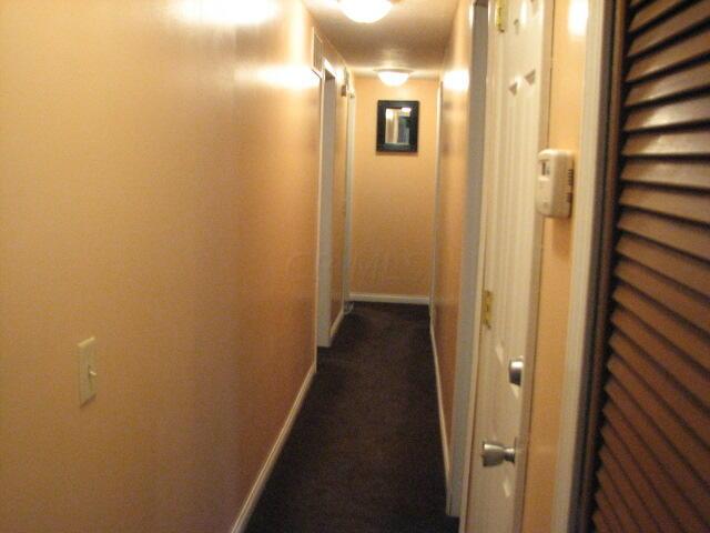 4165 Alten Road Sugar Grove, OH 43155 - Photo 24 of 78 IMG_4653