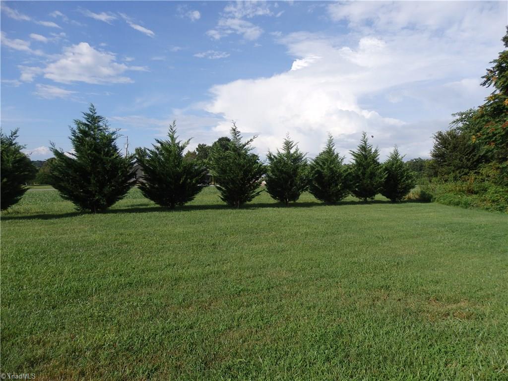 698 Wright Country Road Ramseur, NC 27316 - Photo 27 of 30 Side Yard.