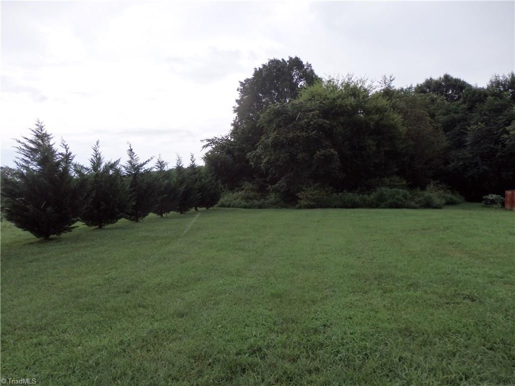 698 Wright Country Road Ramseur, NC 27316 - Photo 29 of 30 back yard