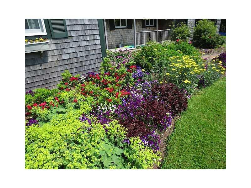 9 Goose Cove Road Deer Isle, ME 04627 - Photo 30 of 34 Yard/Garden.