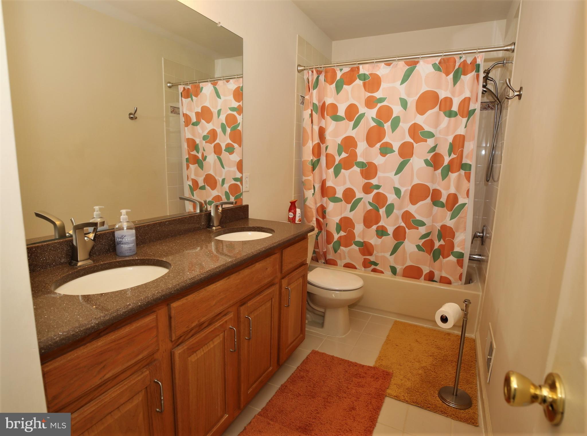 32 Chesapeake Road Monmouth Junction, NJ 08852 - Photo 40 of 48 Gallery Image 40