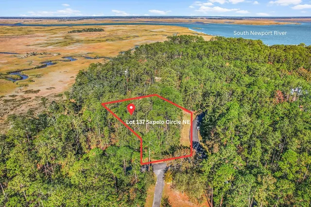 $95,000 | Lot 137 Sapelo Circle Northeast, Townsend, GA 31331