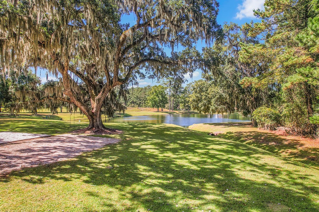 Lot 137 Sapelo Circle Northeast Townsend, GA 31331 - Photo 20 of 33