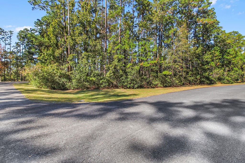 Lot 137 Sapelo Circle Northeast Townsend, GA 31331 - Photo 2 of 33