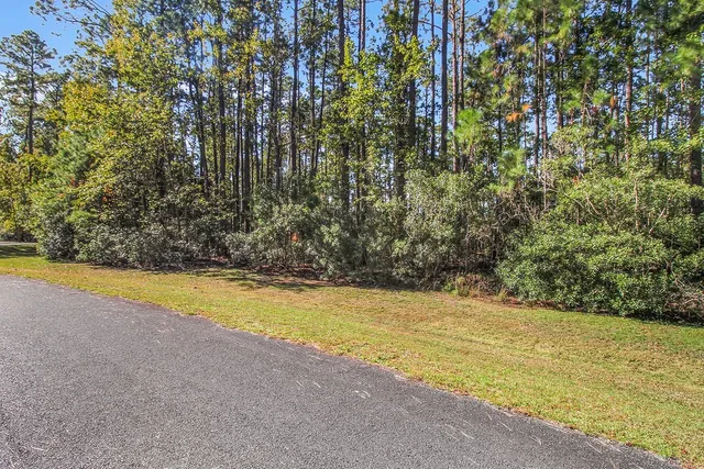 $95,000 | Lot 137 Sapelo Circle Northeast, Townsend, GA 31331
